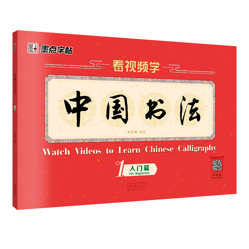 看视频学中国书法（带视频/全3册）